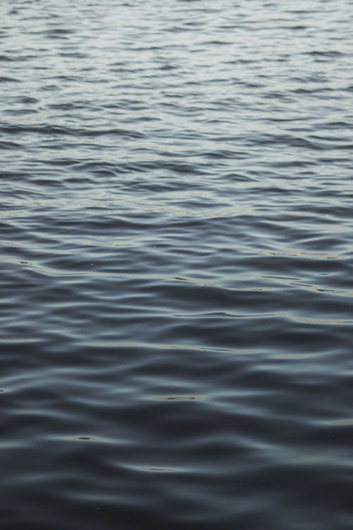 Free Ripples on a Body of Water Stock Photo