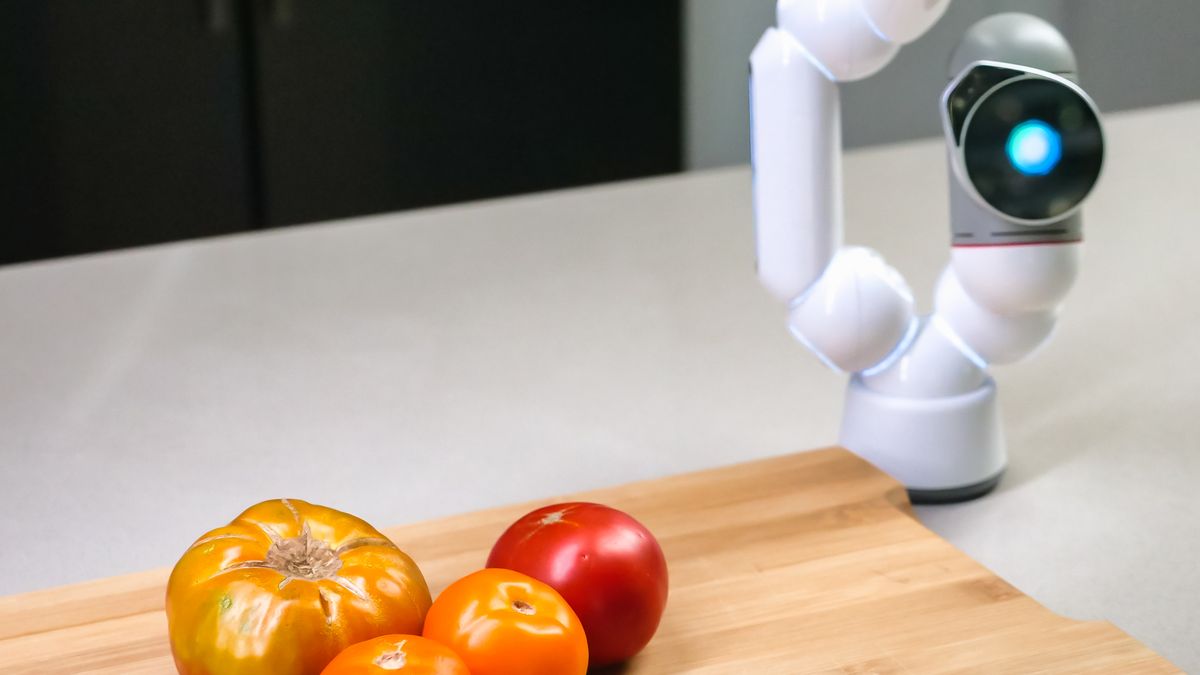 Comment choisir un robot de cuisine multifonction en 2026