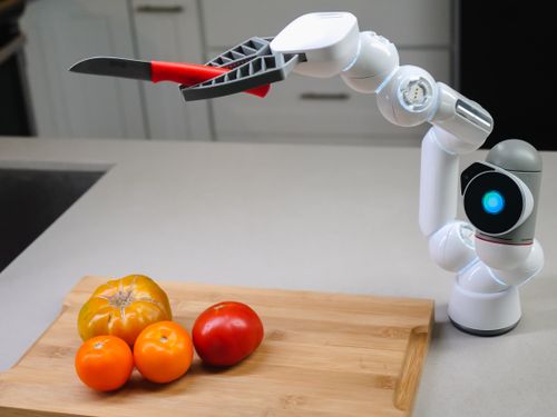 Free A futuristic robotic arm with a knife preparing colorful tomatoes in a modern kitchen. Stock Photo