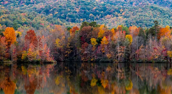 Price Lake reflecting autumn forest on the Blue Ridge Parkway