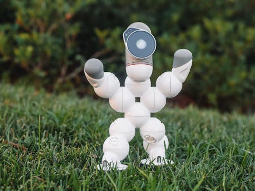 Free A Clibcbot on a Grassy Ground Stock Photo