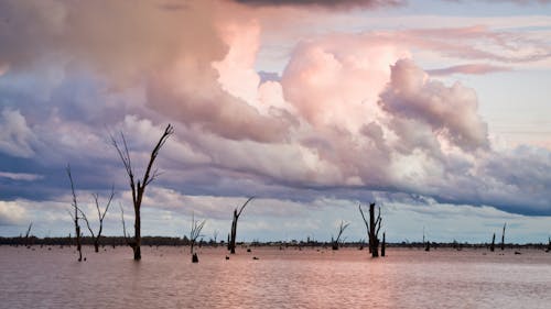 Ilmainen kuvapankkikuva tunnisteilla aikainen ilta, australia, epätavallinen valo