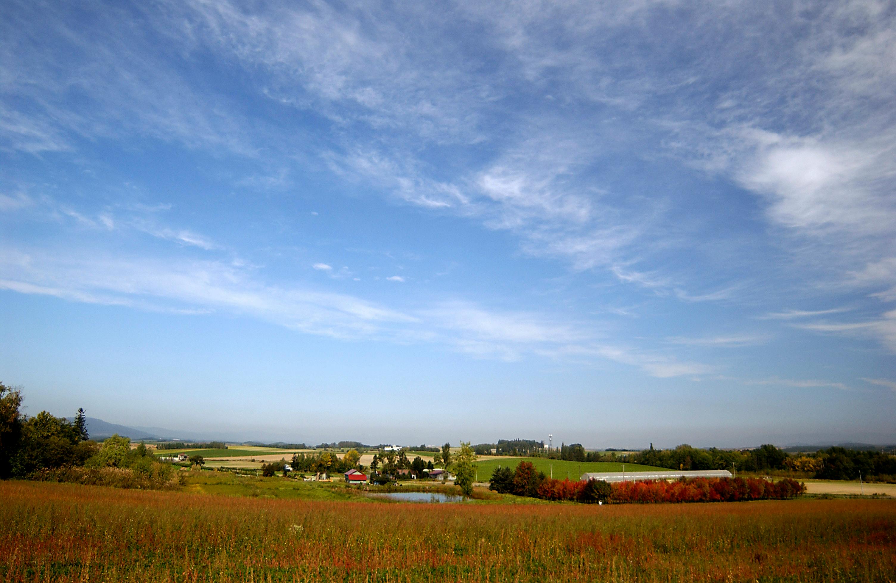 Free stock photo of Furano, hokkaido