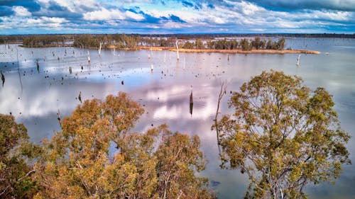 Free stock photo of aerial, australia, bough