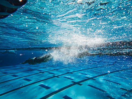 Kostnadsfria Kostnadsfri bild av blå, dykning, man Stock foto