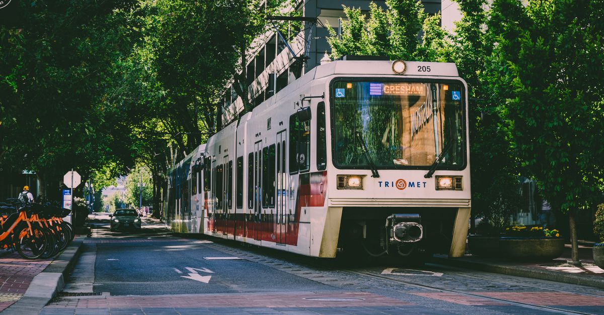 A tram navigating through a tree-lined street in an urban environment, showcasing public transportation.