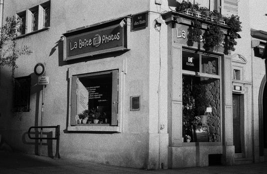 Ragoût de poulet à la brune