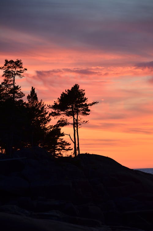 Gratis arkivbilde med åser, bakbelysning, bartre