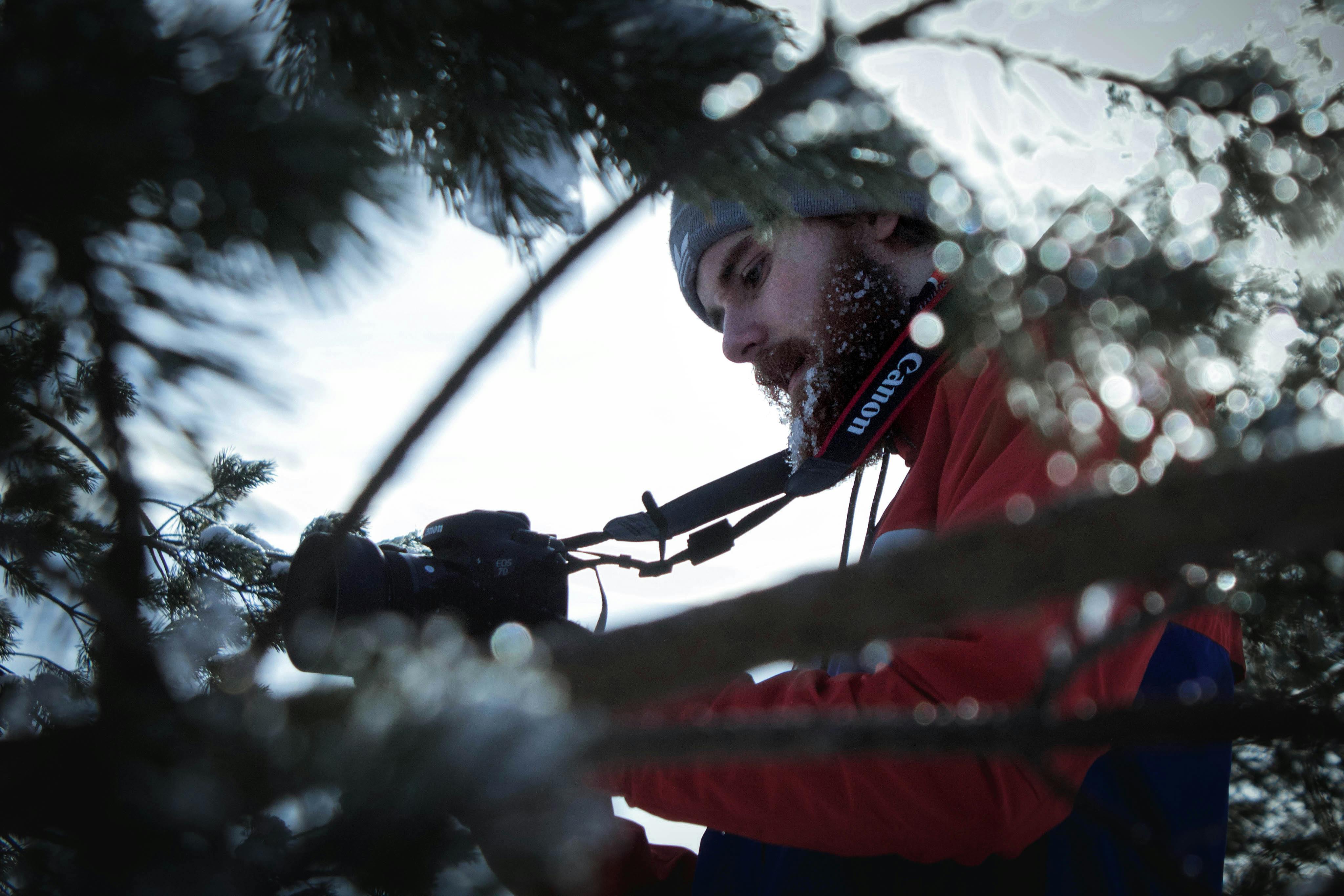 摄影师用佳能相机拍摄了树林的冬日景色