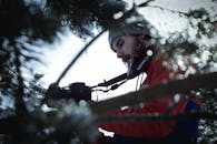 摄影师用佳能相机拍摄了树林的冬日景色