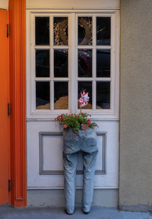 Free stock photo of door decoration, funny planter Stock Photo