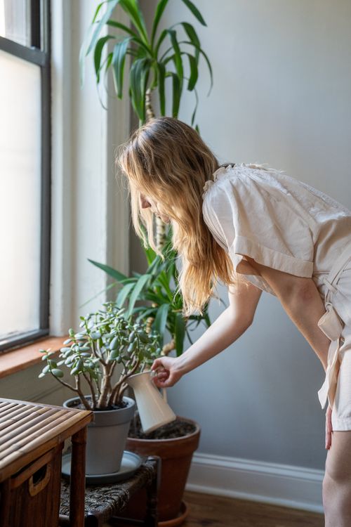 Free A woman watering her potted plants indoors, showcasing home care and greenery. Stock Photo