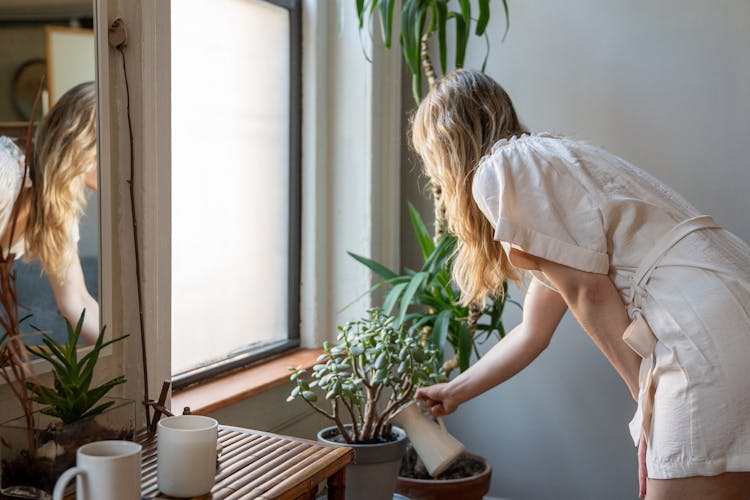 Woman Watering Flowers In Home