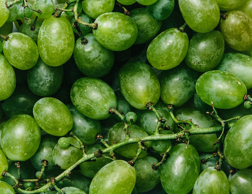 fruits, grapes, healthy