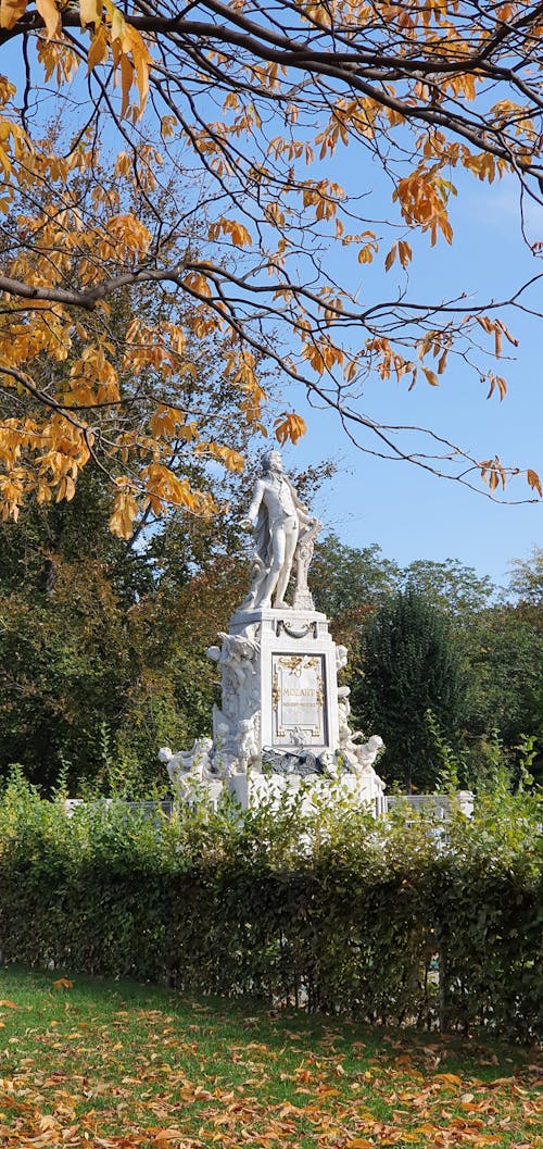 heykel, mozart içeren Ücretsiz stok fotoğraf