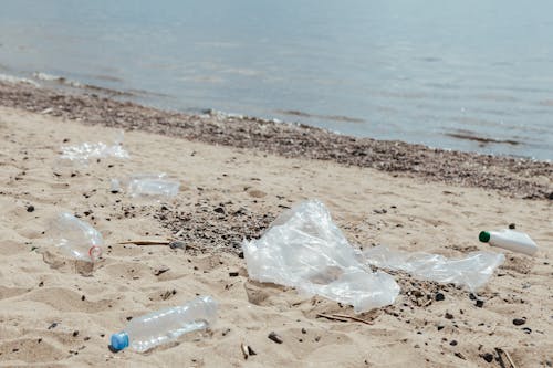 Free Clear Plastic Bottle on White Sand Near Body of Water Stock Photo