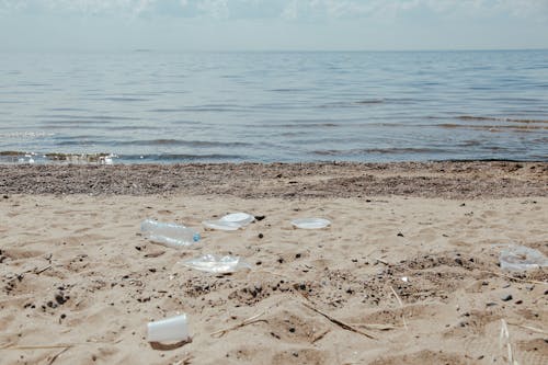 Plastic Scattered on Beach Shore