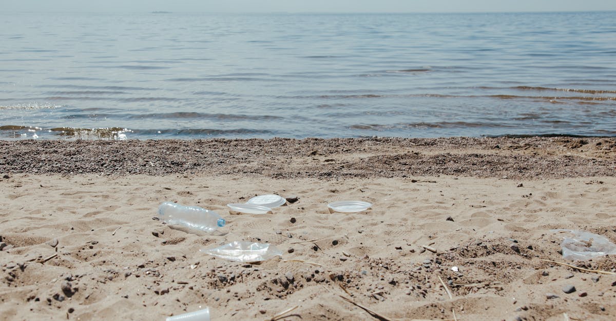 你該知道的:海廢超過7成來自中國,管碧玲呼籲放下政治尋求解決