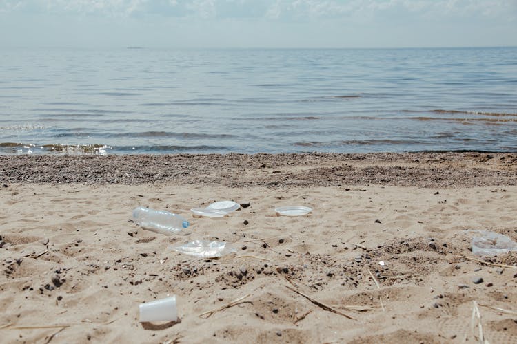 Plastic Scattered On Beach Shore