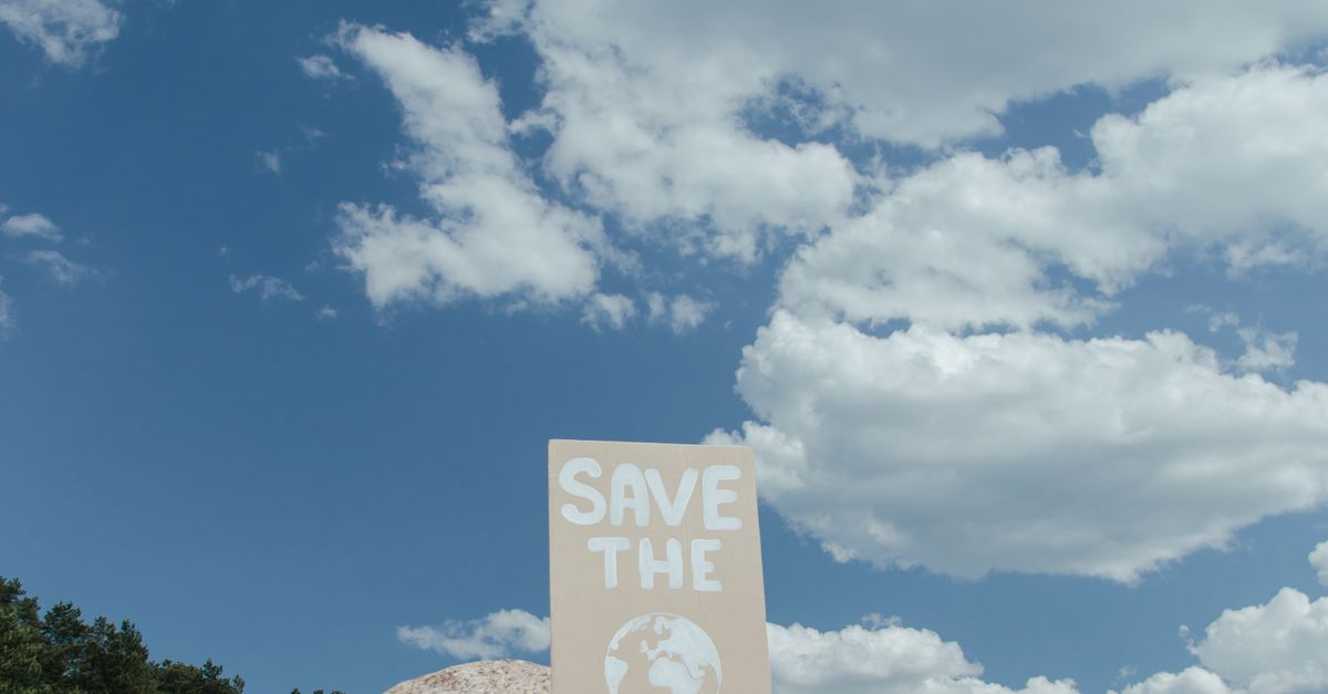 How Smart Substrate Selection Drives Sustainable and High-Impact Wide Format Projects