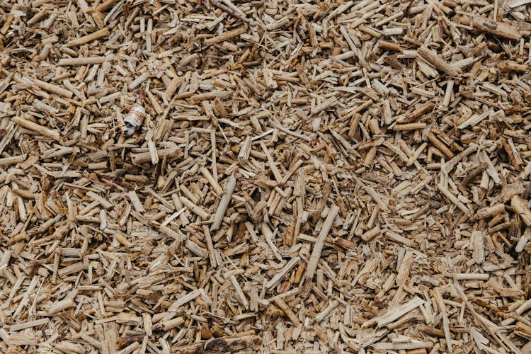 Splinters Of Wood Chips