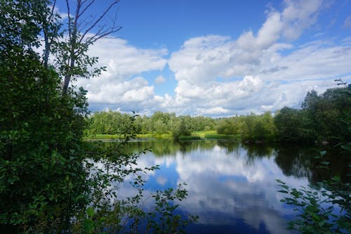 Scenery of a Placid Lake