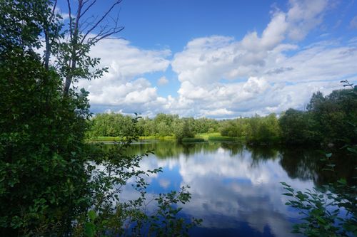 Free A calm and picturesque scene of a river surrounded by lush trees under a vivid blue sky with puffy clouds. Stock Photo