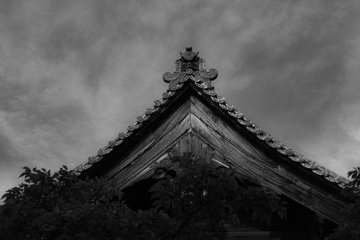 Grayscale Photo of Tree Under Cloudy Sky
