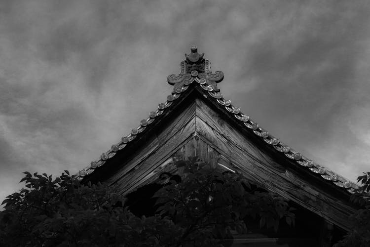 Traditional Japanese Style Roof