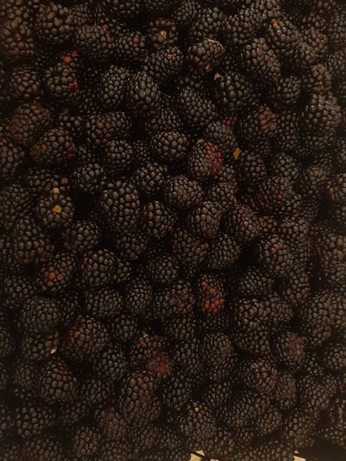 Free Close-Up Shot of Fresh Blackberries Stock Photo