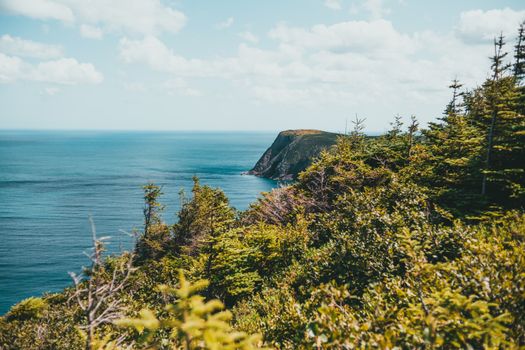 A breathtaking view of a cliff by the ocean surrounded by lush greenery under a bright blue sky.