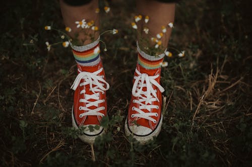 간, 꽃, 빨간 신발의 무료 스톡 사진