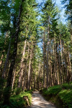 Image by Nikolett Emmert