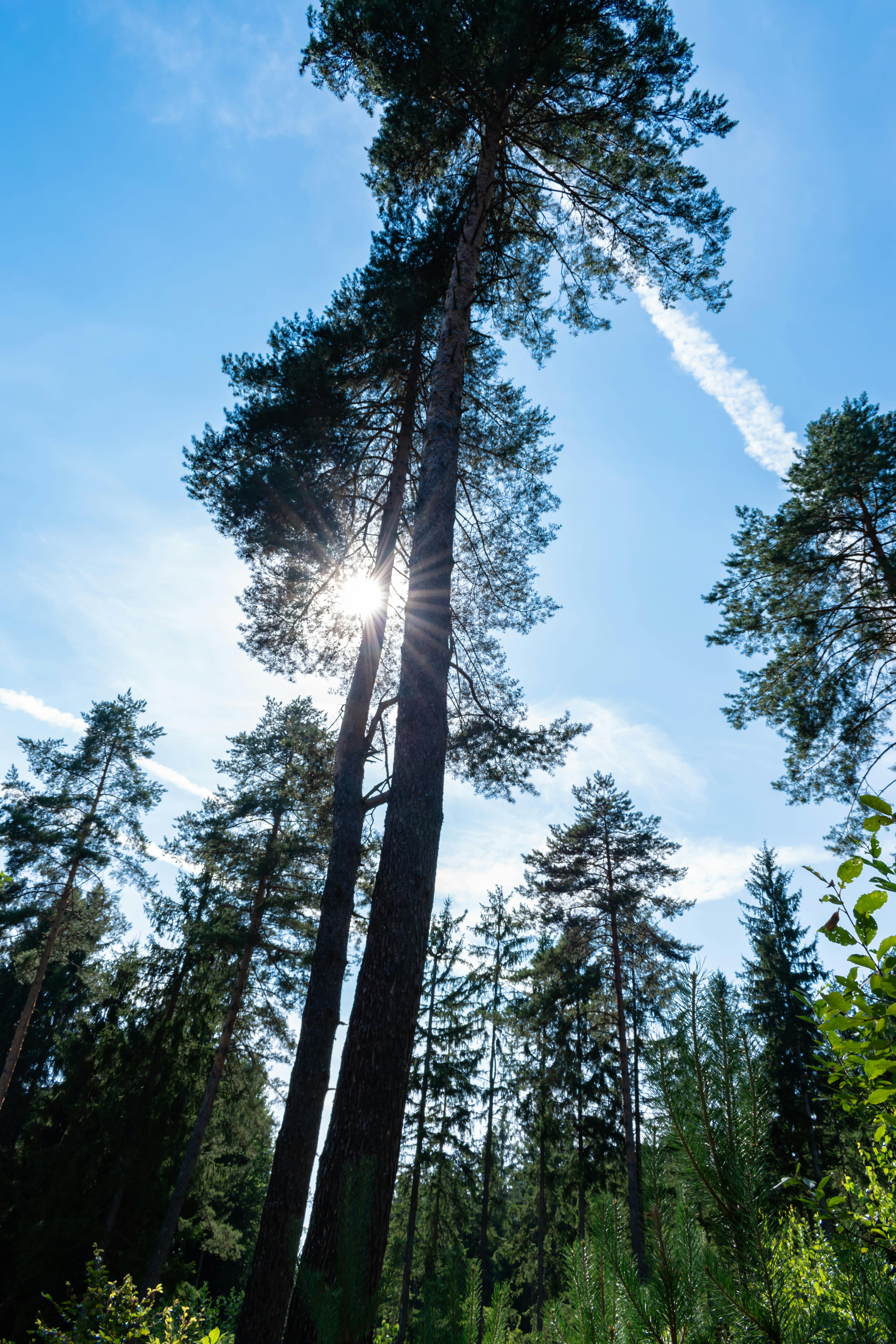 Protest signs at demonstration at night