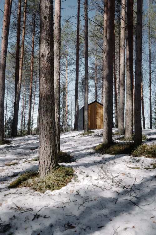 Free A serene winter scene with a wooden cabin nestled among snow-covered trees in the forest. Stock Photo