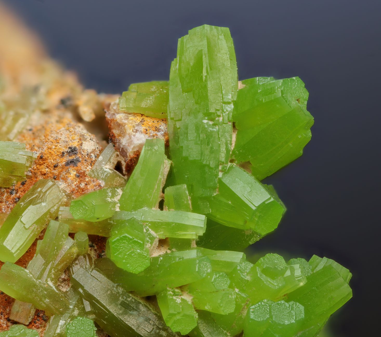 Detailed view of bright green pyromorphite crystals showcasing intricate formations.