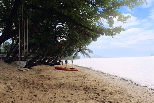 People Walking by the Seashore