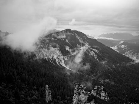 Monochrome view of misty mountains and forests in Germany's wilderness.