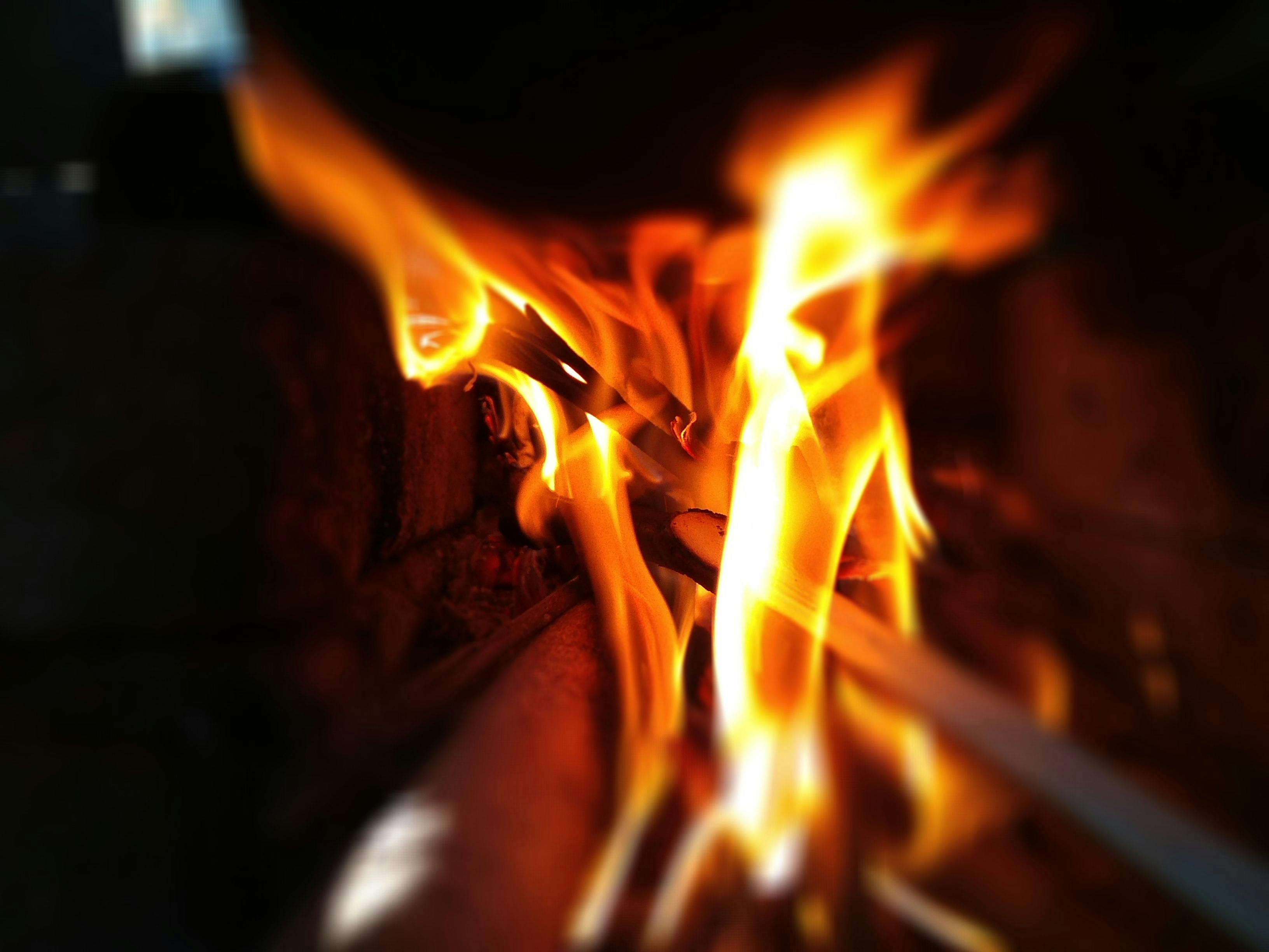 Free stock photo of burning, fire, Fire camp