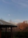 Brown Wooden Gazebo Near Trees