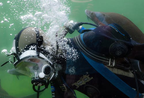 Person in Black and Blue Wetsuit Doing Scuba Diving