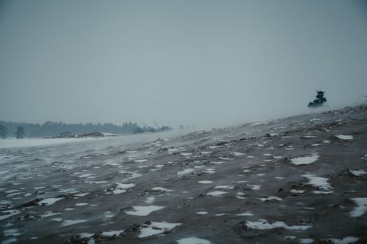 A serene winter landscape with sparse snow cover and a distant treeline under a moody sky.