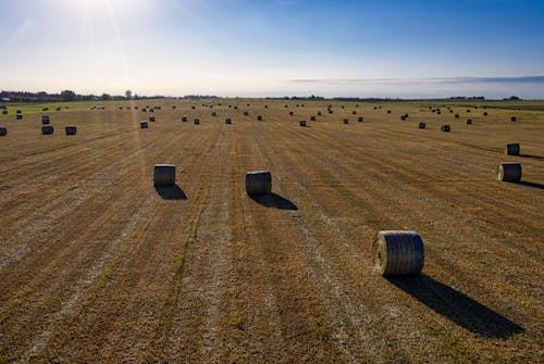 Hay Bales on a Hayfield