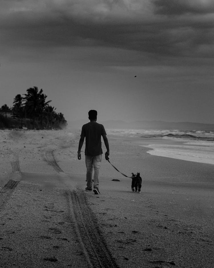 Grayscale Photo Of A Man Walking With A Dog On The Beach