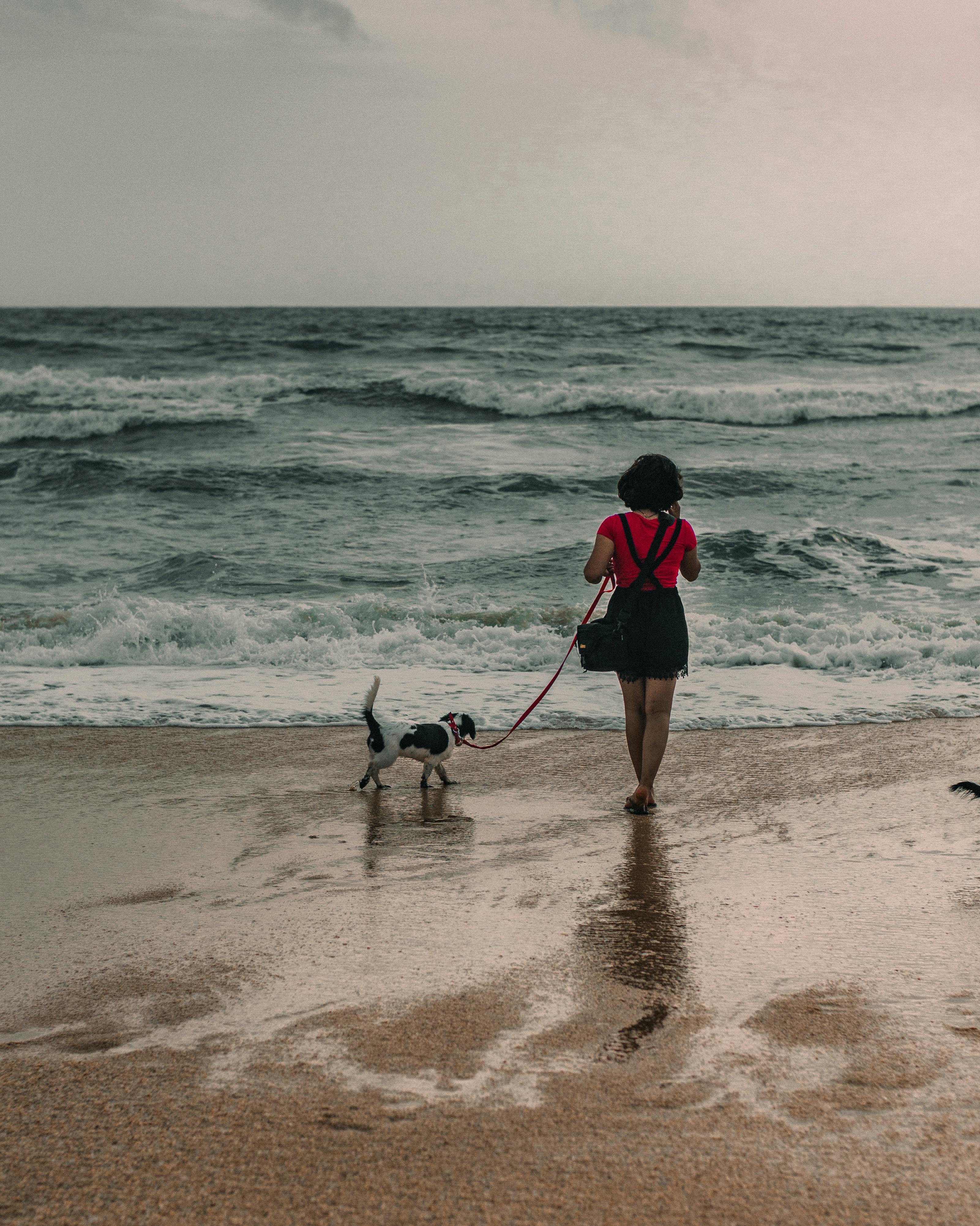 a woman walking with her pet dog on the beach