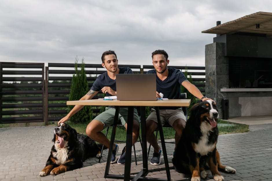 Why Common Dog Health Myths Endanger Your Pet’s Wellness Twins working on a laptop outside with their Bernese Mountain Dogs.
