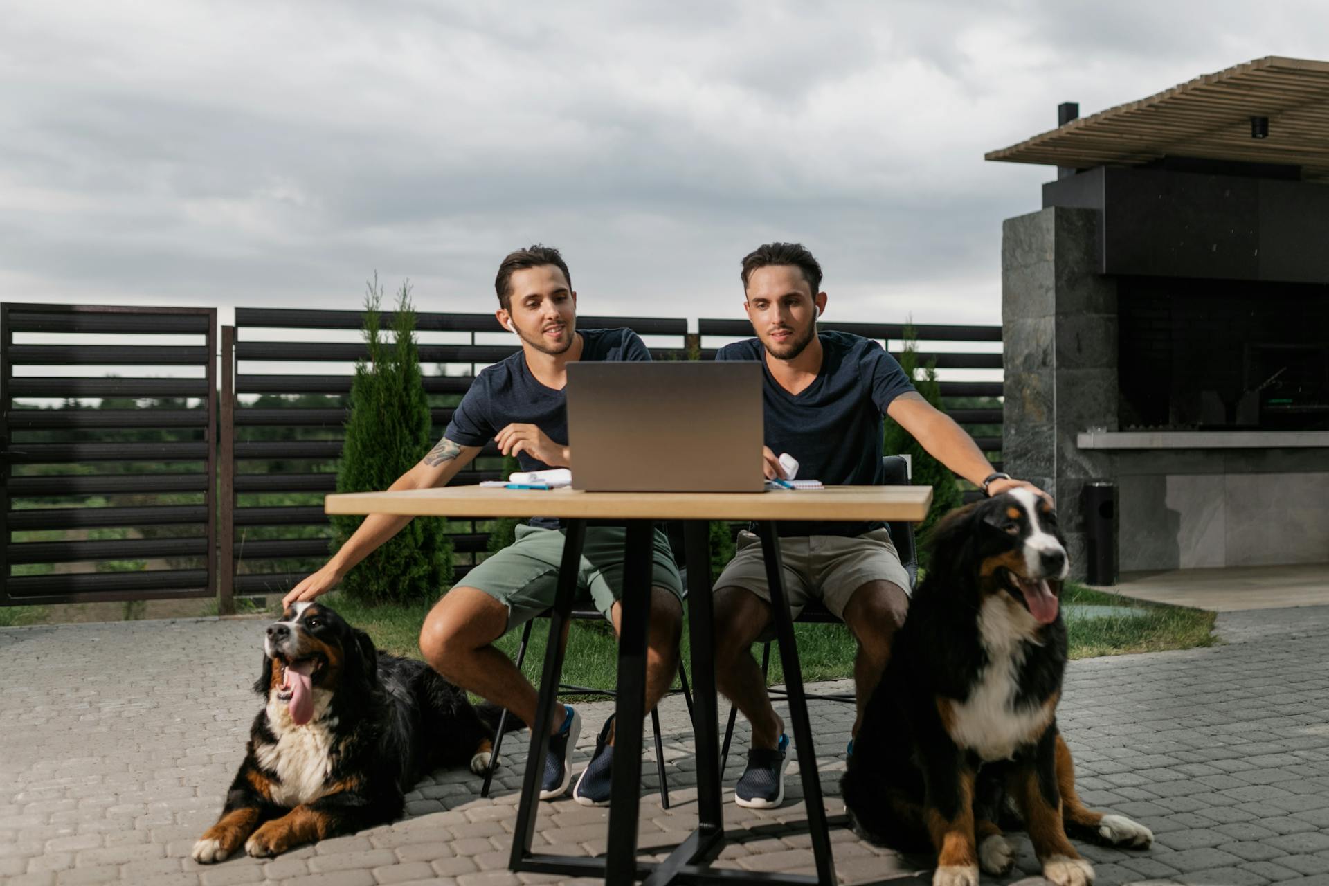 Twins Watching on a Laptop While Petting their Dogs