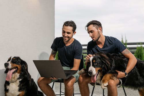 Twins Looking at a Laptop Together while with their Pets