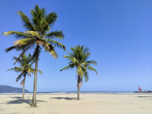 Foto stok gratis di luar rumah, musim panas, pantai