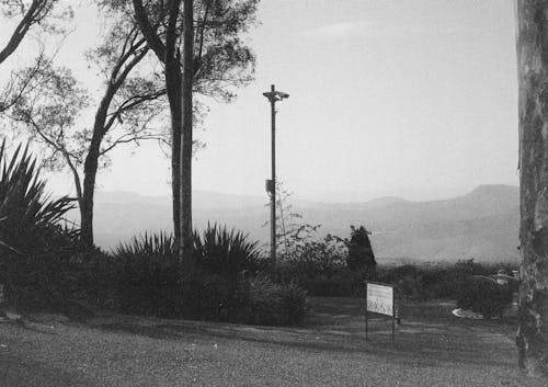 Foto profissional grátis de árvores, cenário, colina